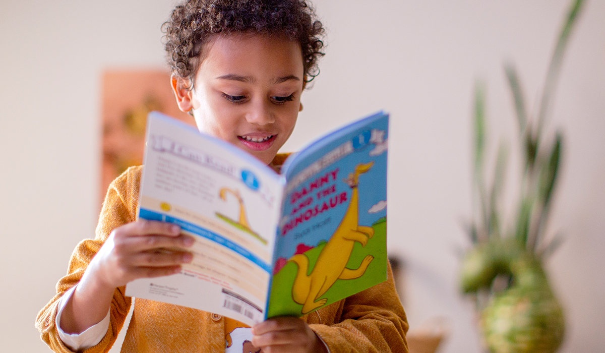 Read more about the article Ottawa Area Intermediate School District – Reading Now Network