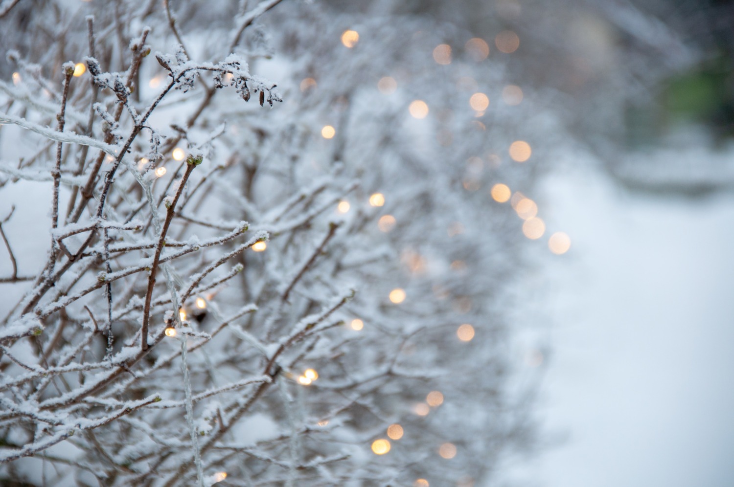 Read more about the article Year-End Giving Tips and Reminders
